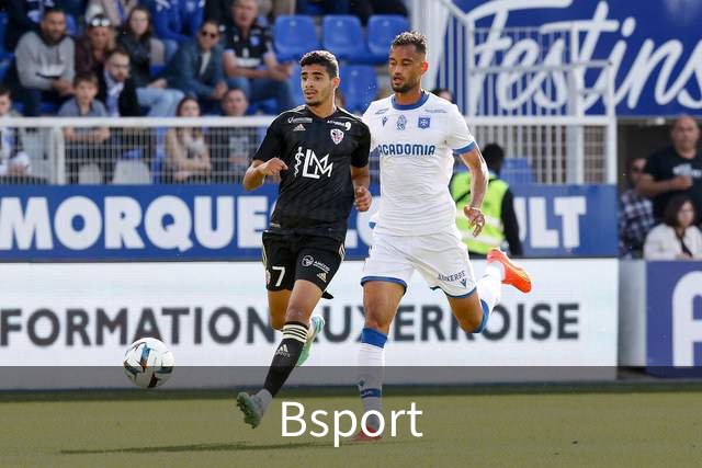Bsport公司简介展示图